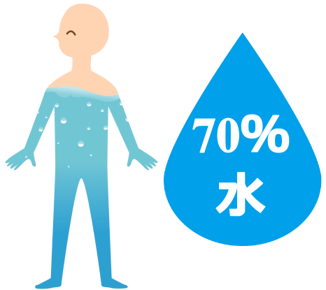 身体の70％は水分です